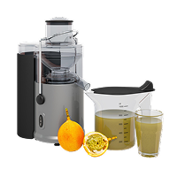 Category - Electric Juicer