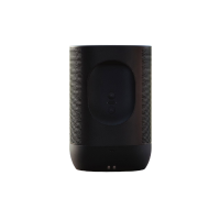 Category - Portable Party Speaker